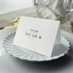 席札_15　ウェディング　結婚式　はがきサイズ　セット