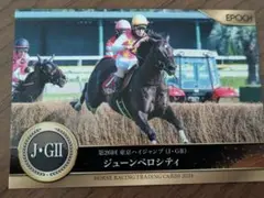 ホースレーシング　トレカ　ジューンベロシティ