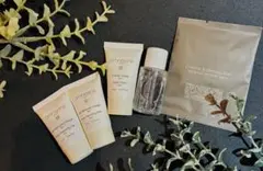 Item thumbnail for item 32808156-5081-405b-ae49-8f88c18a3268