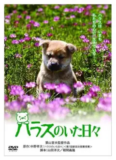 「ハラスのいた日々 」DVD