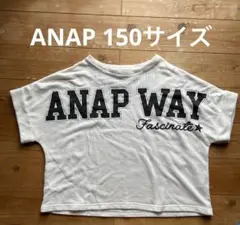 ANAP 150サイズ 半袖　Tシャツ