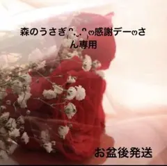 森のうさぎ₍ᐢ.ˬ.ᐢ₎ෆ感謝デーෆさん専用
