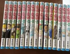 HUNTER × HUNTER 18〜32巻　冨樫義博