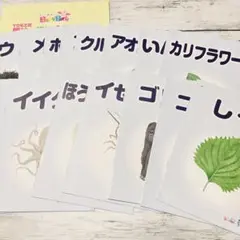 【本日限定価格！】 ベビーパーク ワーク ピクチャーブックレット 16冊 セット