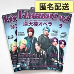 Visunavi Magazine ビジュナビ•マガジン Vol.008
