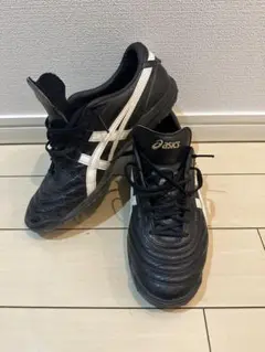 ASICS アシックスC3 FF TF(ホワイト×ブラック) 1113A032 100