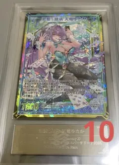 ARS鑑定10 Z/X ゆたか　UR
