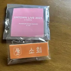 (riizeソヒ①)SMTOWN2025 popup公式グッズネームバッジ