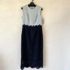 【定価38,500円★新品未使用】AIMER ケミカルレース バイカラー ドレス