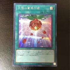 遊戯王 天啓の薔薇の鐘 シークレット 1枚