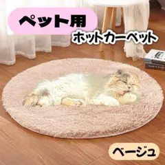 Item thumbnail for item fd704f6a-ea9c-4a57-af83-4e4433778abf