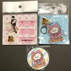 ねこおじ　てぷちゃん　お台場冒険王グッズ　3点
