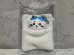 Item thumbnail for item d6ce36f8-228f-4749-891a-4703b0c20f74