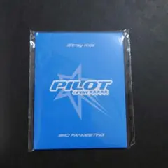 未開封 StrayKids ペンミ PILOT ID フォト 証明写真