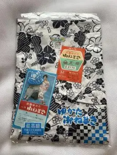 Item thumbnail for item 2d5c9e25-7ab1-45a2-aa4c-8daa1052da52