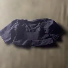 Item thumbnail for item 487ac018-4190-43f0-bea1-0e6d5ac1a8a7