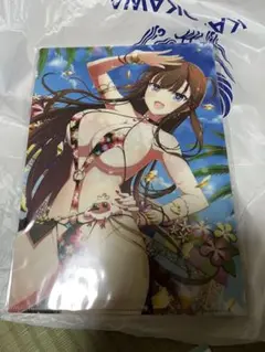 c106　閃乱カグラ　 鴇＆睡蓮　 クリアファイル2枚組