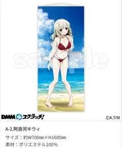 A賞 等身大タペストリー 阿良河キウィ 魔法少女にあこがれて DMMスクラッチ