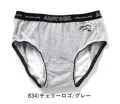 新品☆ALGY サニタリーショーツ下着 3枚セット ナイト用 生理ショーツ