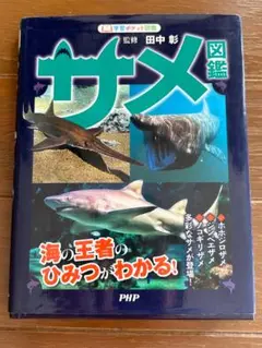 学習ポケット図鑑　サメ図鑑