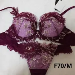 サルート 52G プレステージ F70/M WI