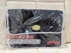 Item thumbnail for item 99fffdf1-75a0-40dc-8b68-0fbfe3866e61