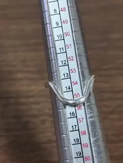 Bijumam ビジュマム シルバープレーンリング