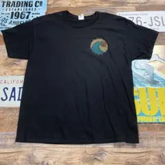 ハワイ　マウイ島　Tシャツ　ヘインズ　L ブラック