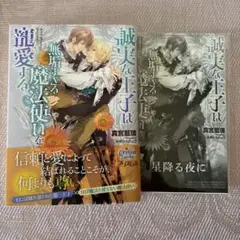 誠実な王子は無垢すぎる魔法使いを寵愛する 真宮藍璃、みずかねりょう