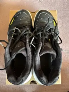 Item thumbnail for item d1565d7f-3e38-4bad-8d1a-a9648daf923a