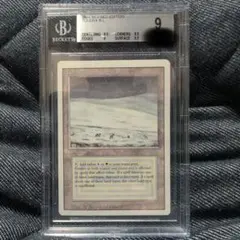 【BGS 9】《Tundra》[3ED] デュアルランド