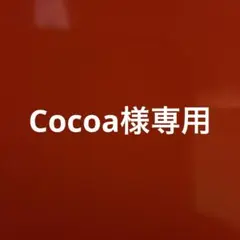同志社大学 赤本　2019年版