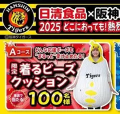 日清食品 阪神タイガース 着るビーズクッション Aコース 当選品
