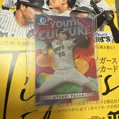 topps2023 湯浅京己　5枚限定　2/5
