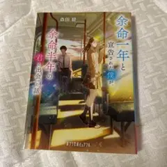 余命一年と宣告された僕が、余命半年の君と出会った話