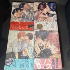 ビタープレイメイト