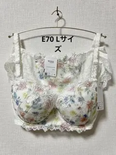 E70 L ウィング★ワコール レシアージュ ブラ&ショーツ
