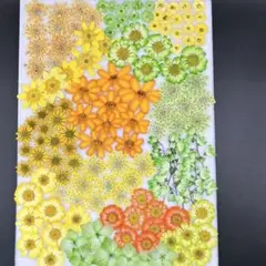 押し花素材　　3542 染め花入りトキメキみっくす
