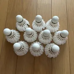 バドミントン中古シャトル10球