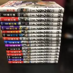 公道ウルフ 1〜16巻　16冊セット 公道ウルフ 16 (ヤングチャンピオン・コミックス) | 野口賢