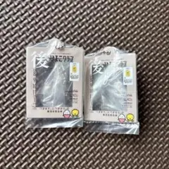 【2個セット】後期ひよこクラブの だれでもアクリルチャーム