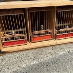 メジロ籠➕飼場(寝かせ)桶 メジロ籠➕飼場(寝かせ)桶