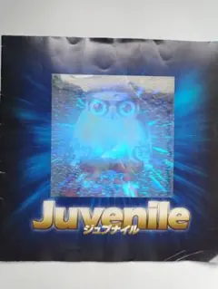 ジュブナイル　映画　パンフレット