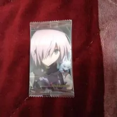 Fate/Grand Order マシュ・キリエライトNo.02