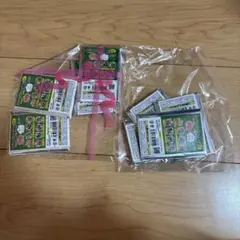 こびとづかん　アクリルネームチェーン