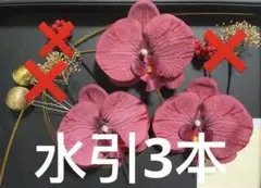 Item thumbnail for item 7be3b196-38b3-4b98-9d34-a108152010d5