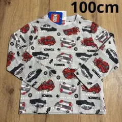 Item thumbnail for item 6109301a-f3f9-477d-a3f7-d948e381335f