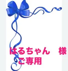 ★はるちゃん様★ご専用★