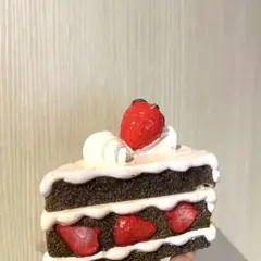 ケーキ　小物入れ