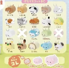 ころころらいふ　BCサイズ　セット